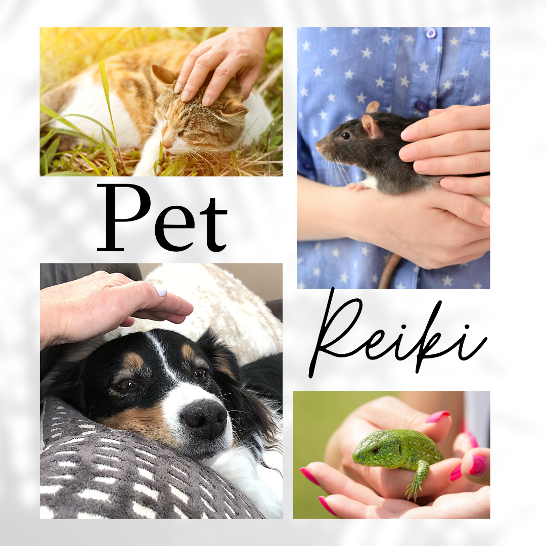 In-Home / Travel Pet Reiki Sessions